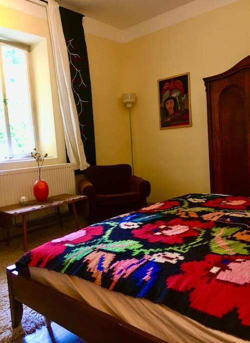 Vintage Studio Apartment, Garden And Free Parking Budapest Exterior photo