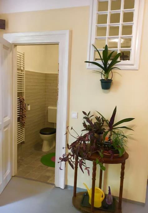 Vintage Studio Apartment, Garden And Free Parking Budapest Exterior photo